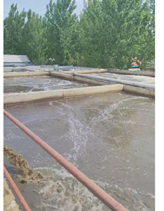 臨沂藍(lán)匯食品加工廢水處理項(xiàng)目